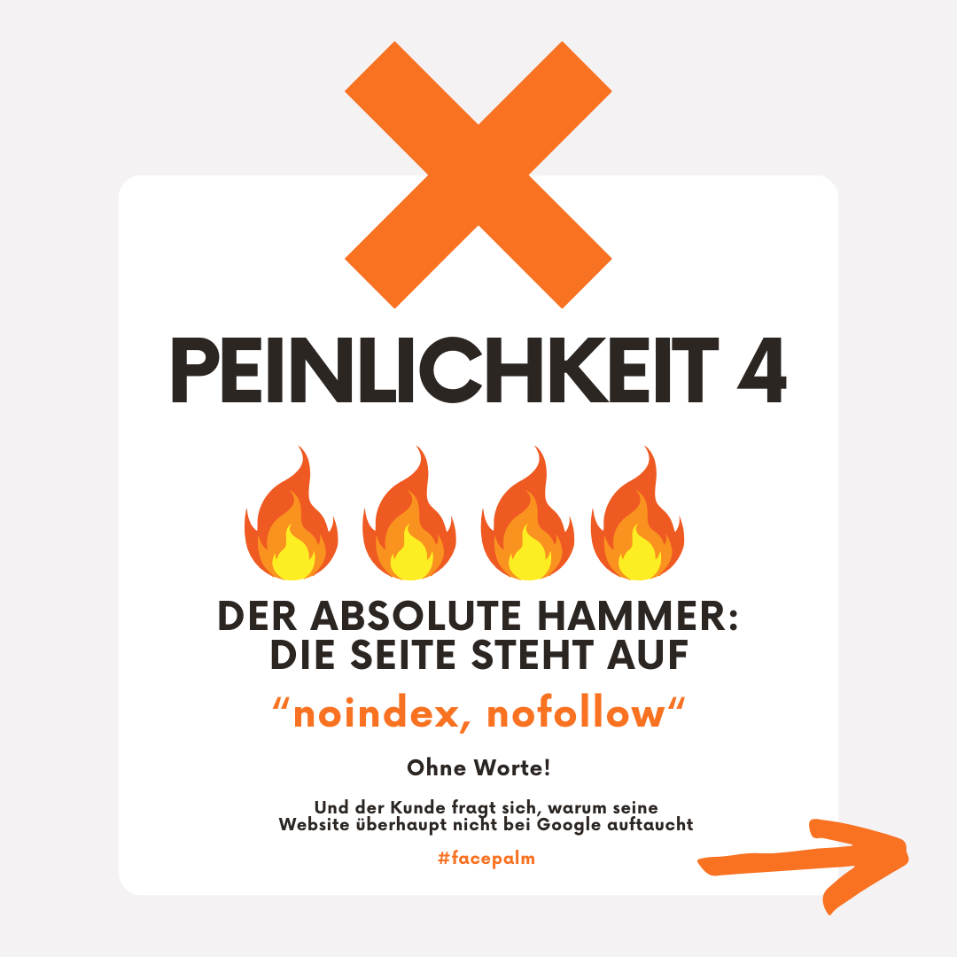 Fehler Die Webseite steht auf noindex nofollow und wird nicht von Google indexiert