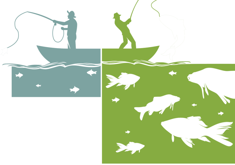 Angler fischen in verschiedenen Gewässern beim Social Recruiting